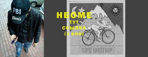 СК Алексин