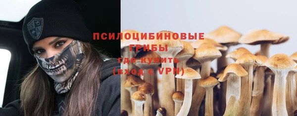 дживик Алексеевка