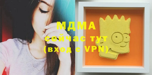 СК Алексин