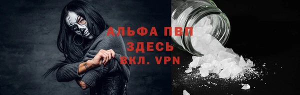 СК Алексин