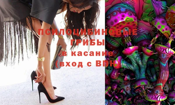 дживик Армянск
