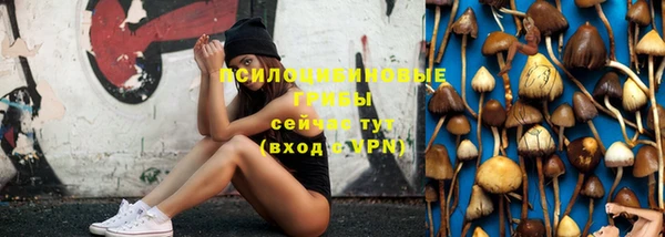 дживик Алексеевка