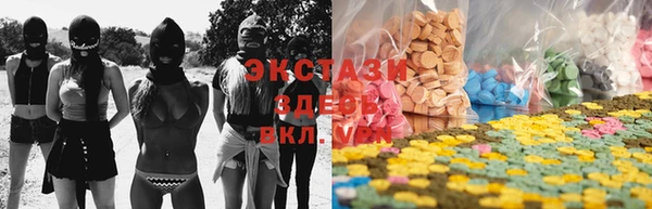 СК Алексин